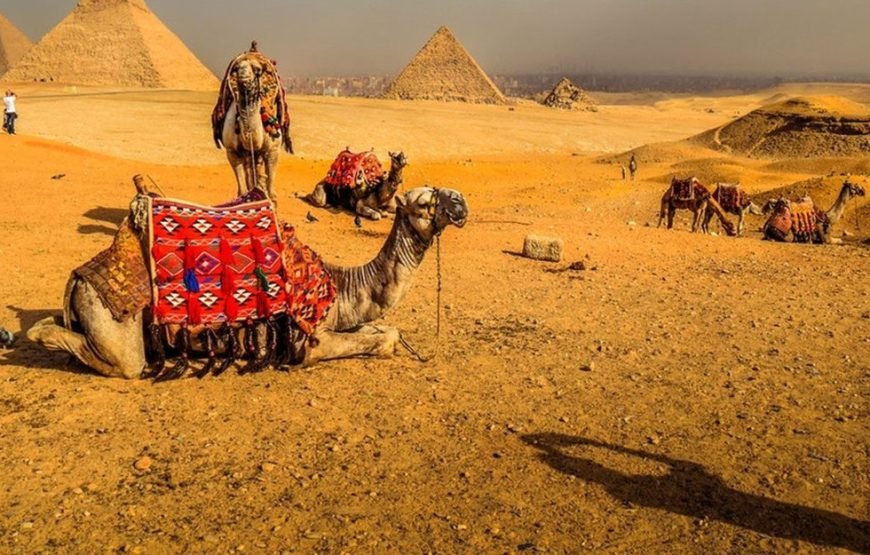 8 Days Egypt Trip Package – Explore Cairo, Nile Cruise & Luxor