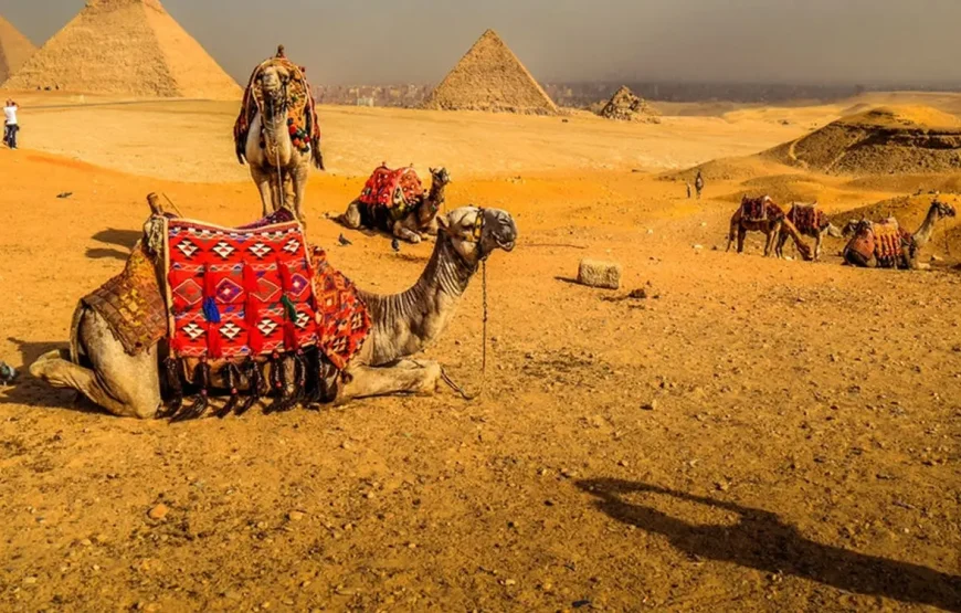 6 Days Egypt Tour – Classic Egypt Highlights