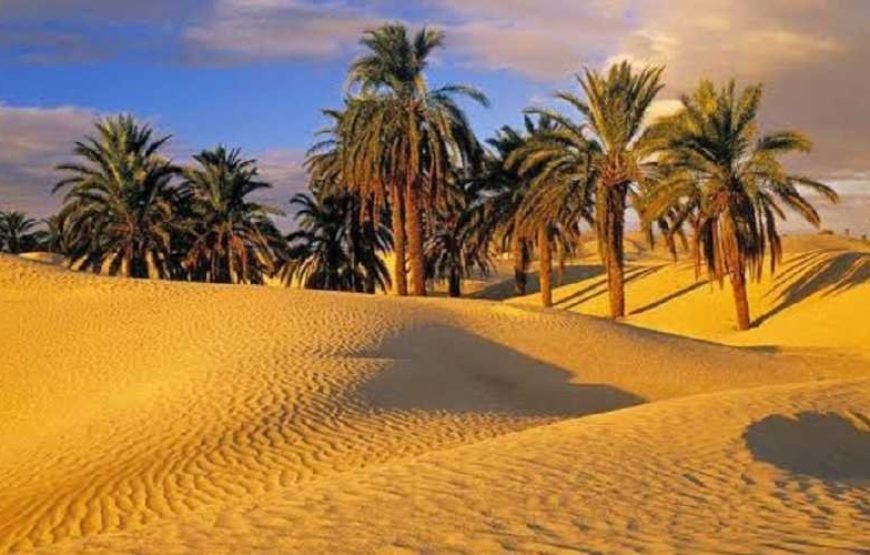 Fayoum overday Trip