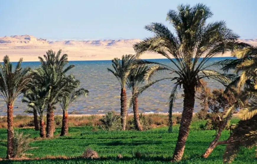 Fayoum overday Trip