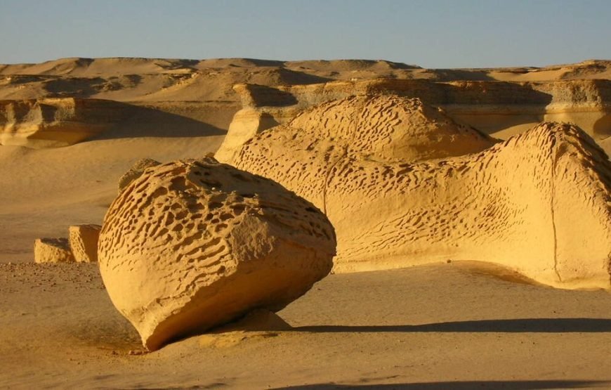 Fayoum overday Trip