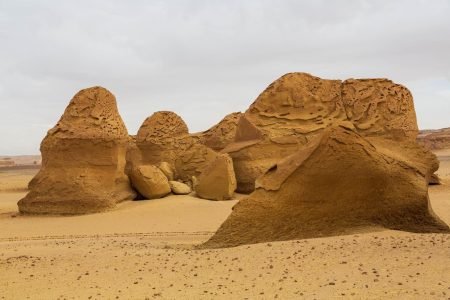 Fayoum overday Trip