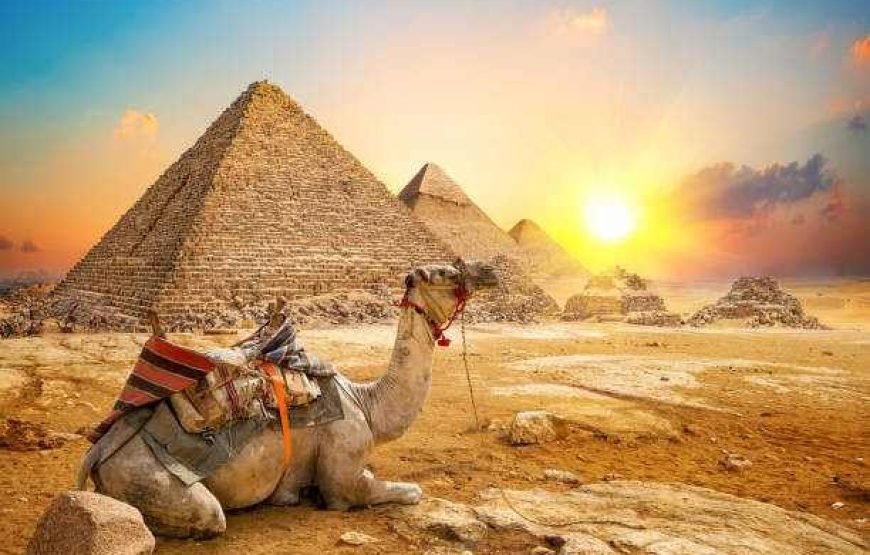 Trip to Giza Pyramids and Egyptian Museum