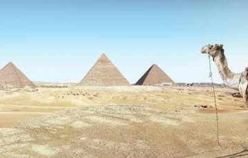Trip to Giza Pyramids and Egyptian Museum