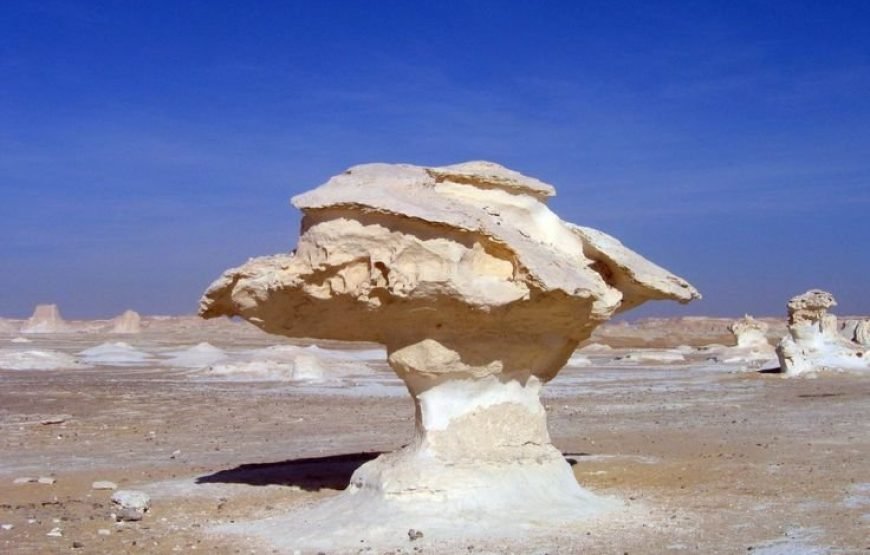 Bahariya Oasis & The Black and White Deserts Adventure