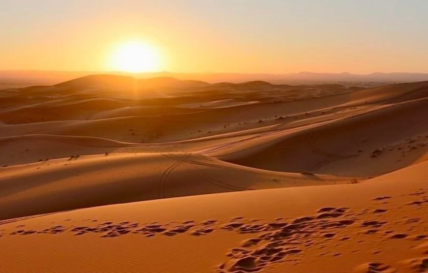 Bahariya Oasis & The Black and White Deserts Adventure
