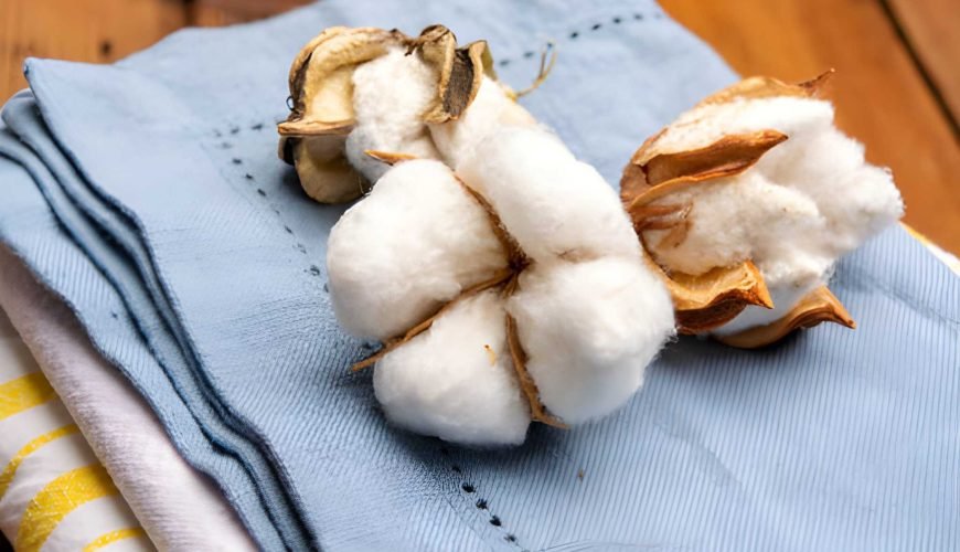 Why Egyptian Cotton Is The Best