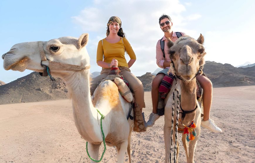 10 Days Luxury Holiday Tour Egypt – Nile Cruise, Cairo & Abu Simbel