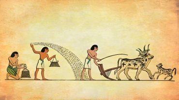 Ancient Egyptian Animal Gods