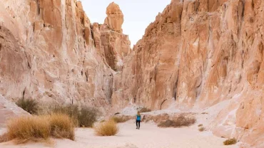White Canyon
