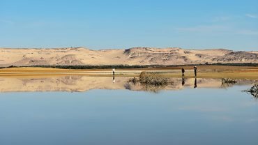 Farafra Oasis