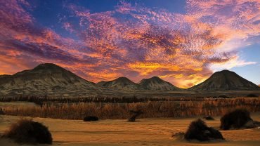 Bahariya Oasis Egypt
