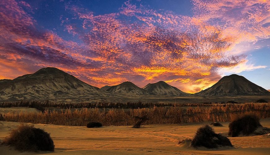 Bahariya Oasis Egypt