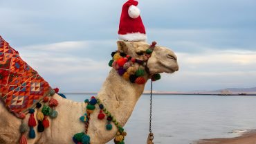 Christmas In Egypt