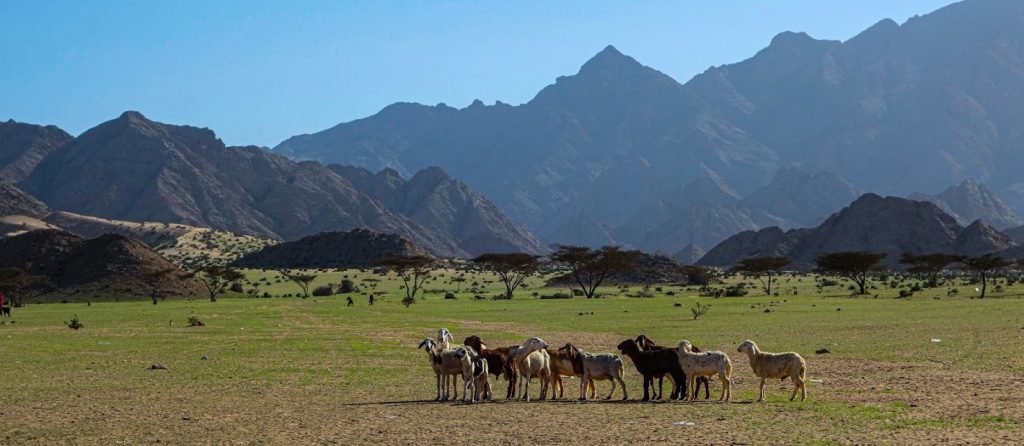 Gebel Elba National Park