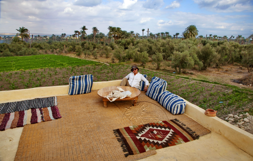 Bahariya Oasis & The Black and White Deserts Adventure