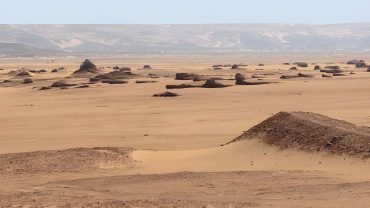 Kharga Oasis