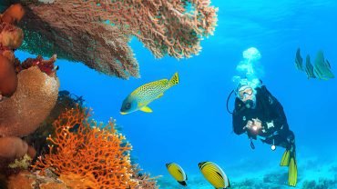 Marsa Alam
