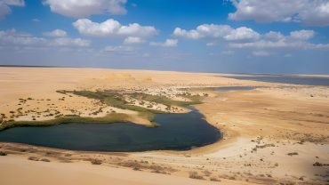 Fayoum & Western Desert