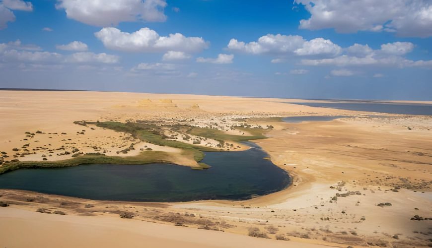 Fayoum & Western Desert